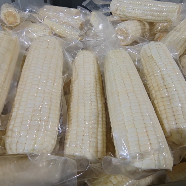 鲜食玉米源头工厂15567095456