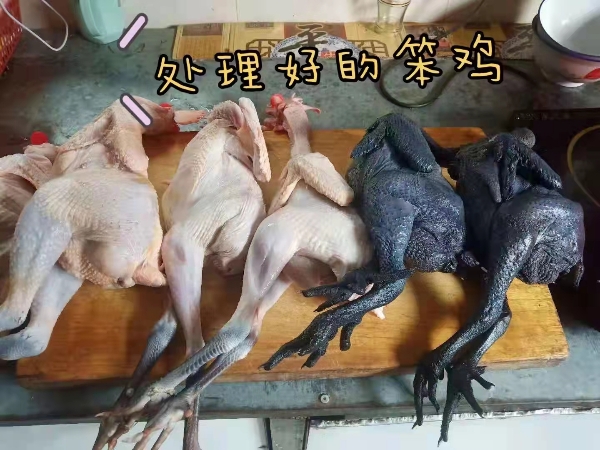（萌果精选)山西省晋中市祁县东观镇农家散装土鸡，鹅