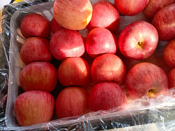 纸袋红富士苹果大量上市货源充足质量保证支持全国代发