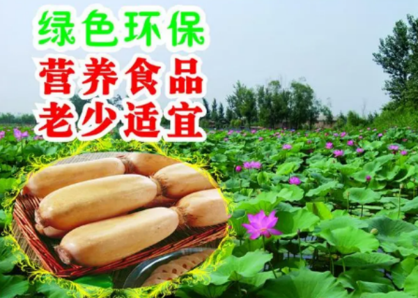 天津2022新鲜莲藕全国发货品种齐全