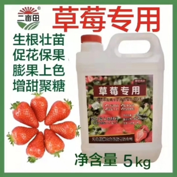 草莓🍓专用肥  生根养根  膨果上色