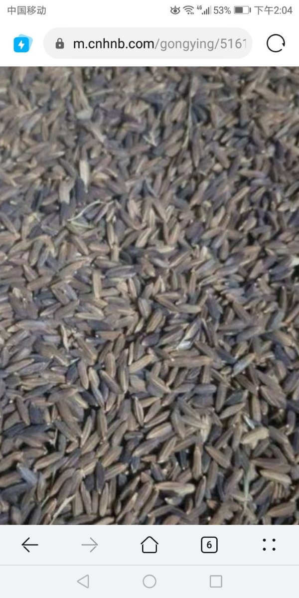 赵先生，大量出售晚稻，黑粘香优质黑糯米，240吨。