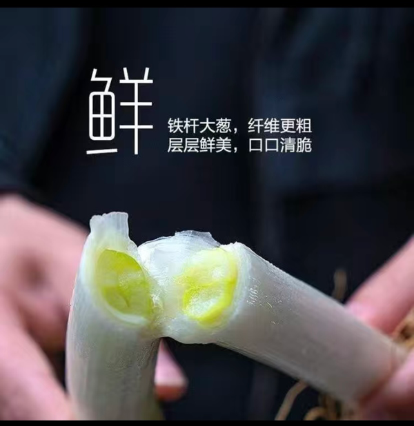 山东精品铁杆大葱