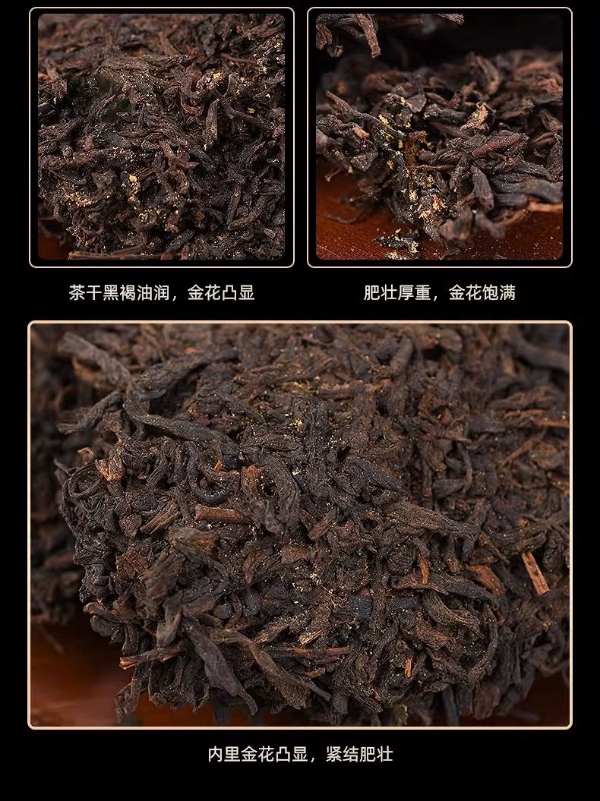 广西梧州六堡茶黑茶熟茶甘甜爽口绵滑细腻