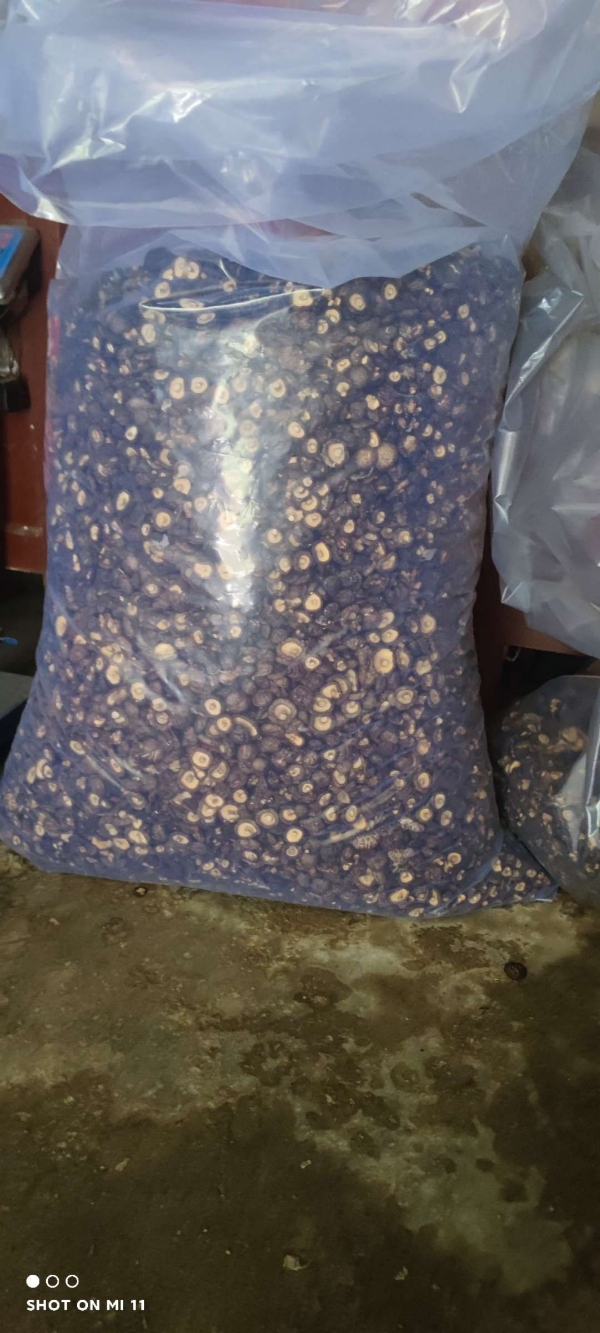 陕西商洛，10万斤当季干香菇