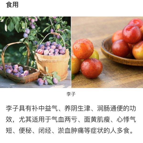 福建特产芙蓉李！清脆爽口，颜色鲜艳