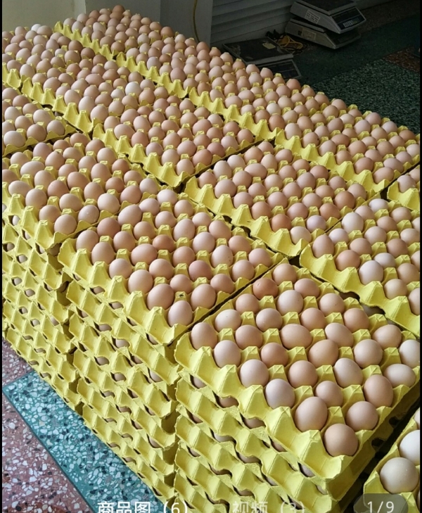 草鸡蛋长期供应360个/箱，厂家直发，可做全国