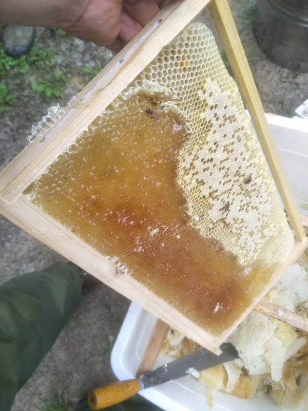 农家土蜂蜜，纯天然百花蜜，未加工，零添加