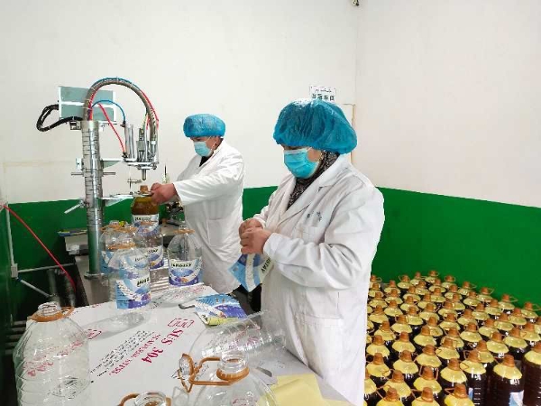新疆伊犁察布查尔县加尕斯台系列食用油
