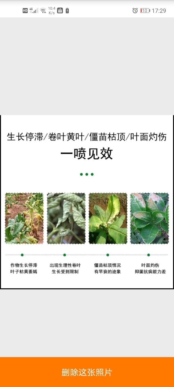 广东 肥料一喷绿 快速黄叶变绿叶 1.5元/包