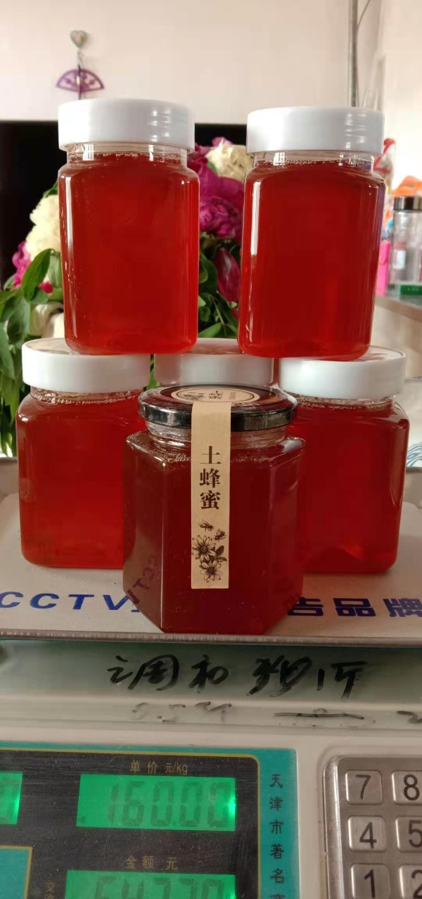 甘肃定西，中华蜂土蜂蜜，未加工