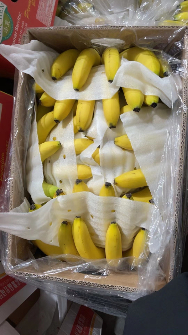 菲律宾进口香蕉大量现货供应果面干净价格实惠只要几毛