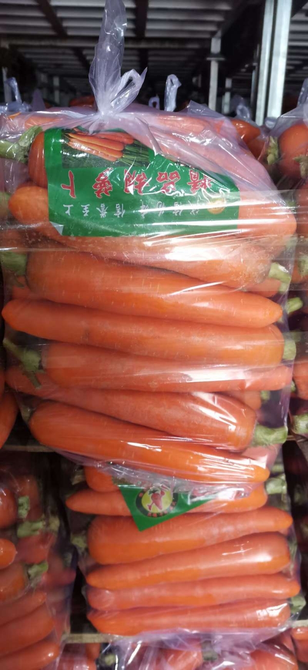 产地大量上新红萝卜，冷空气影响可存货