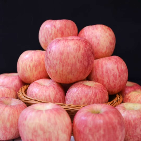 山东精品红富士苹果口感脆甜色泽鲜艳量大质优价格便宜