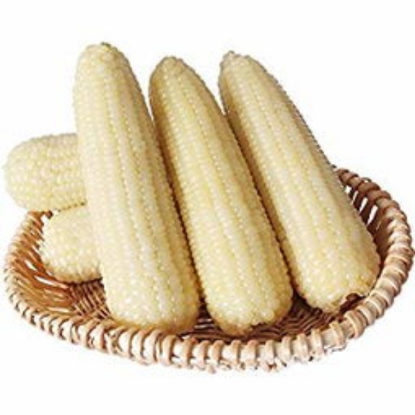 鲜玉米 各种品种 甜 糯 甜糯 黄  白