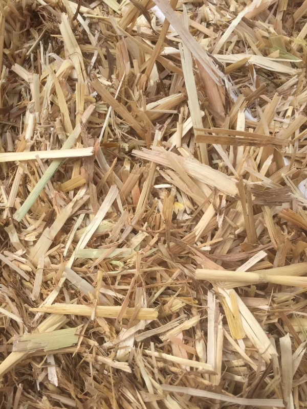 优质小麦结杆……质量干净……价格实惠！！