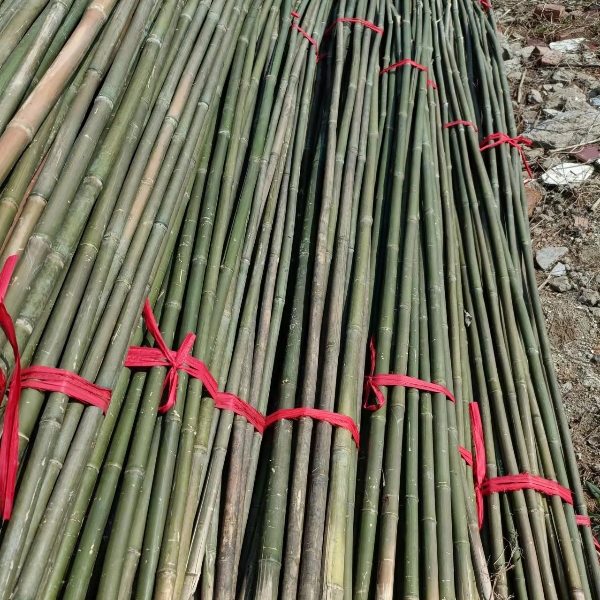 产地直发菜架竹农用小竹竿各种规格竹子