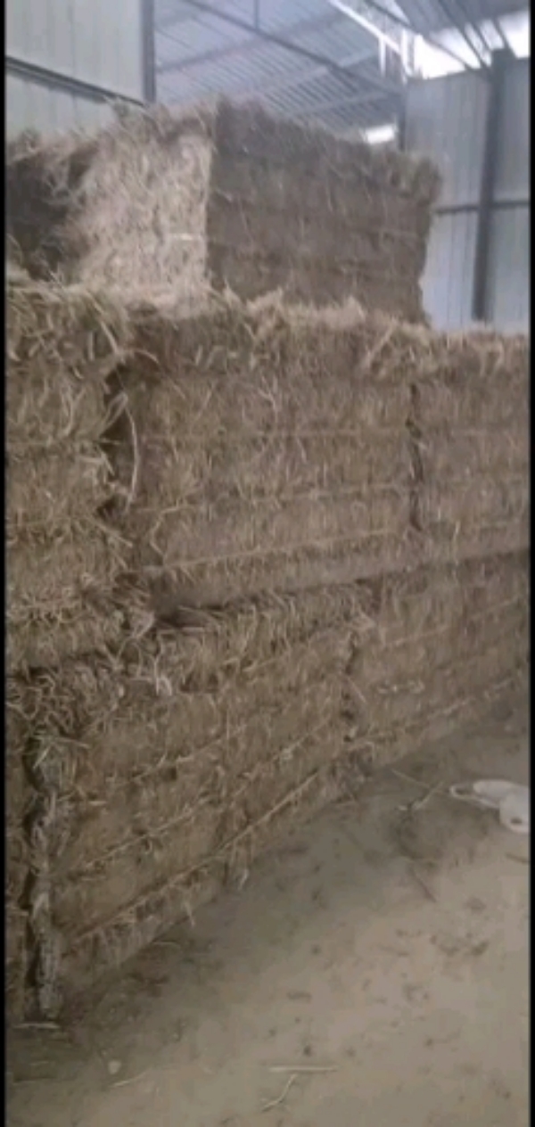 发酵稻草每吨800元