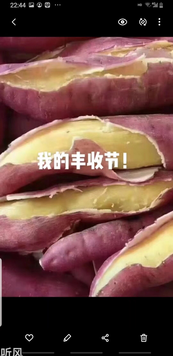 红薯板栗红薯