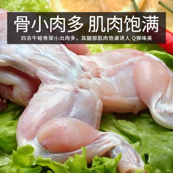 活鲜牛蛙