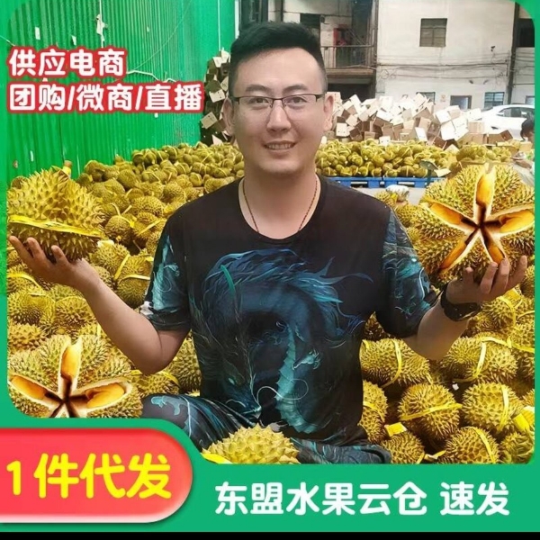 泰国榴莲批发工厂全国包售后一件代发招代理巴掌榴莲