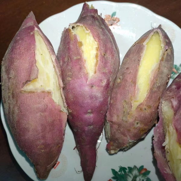 广东省茂名高州市水库区沙地红薯．爆皮王面包薯