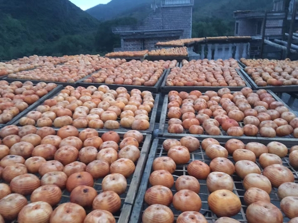 广西平乐，柿饼……绿色食品