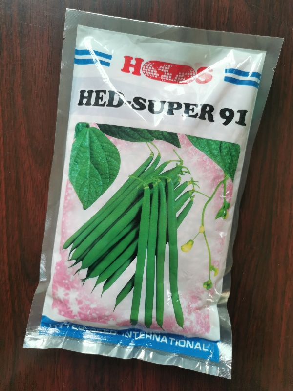 海德青刀豆种子5991