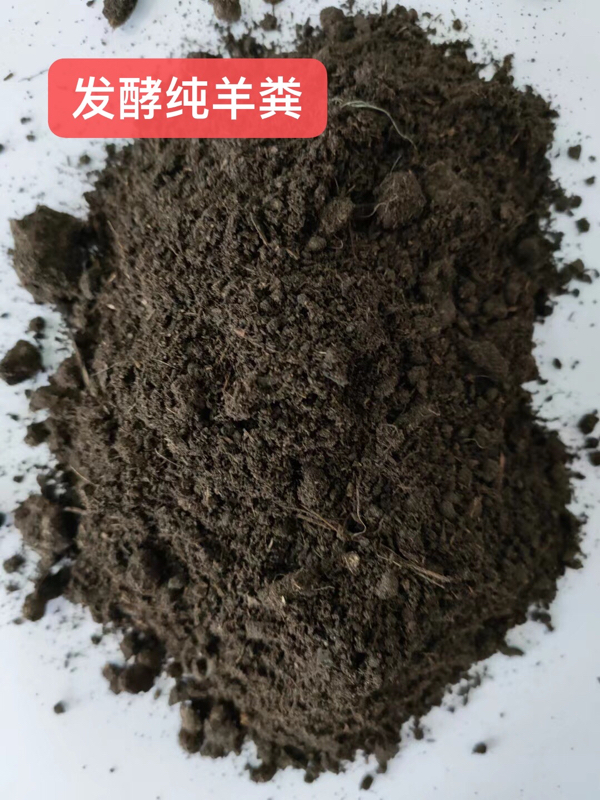 发酵腐熟纯羊粪