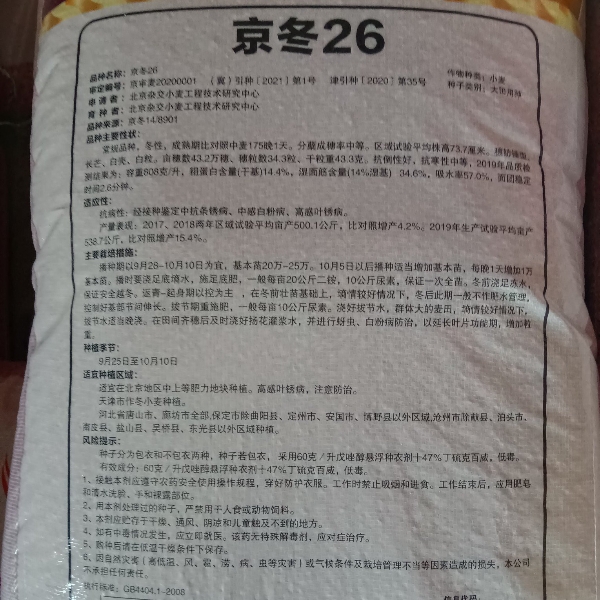 京津冀小麦品种厂家直销