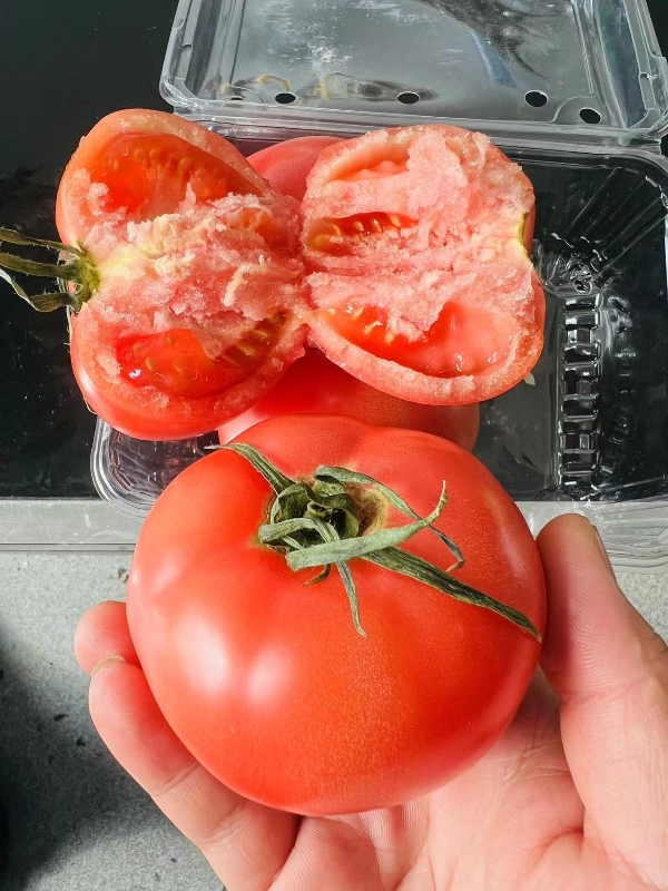 桃太郎水培软粉番茄