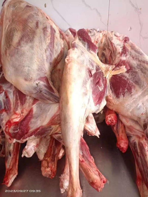 青海藏羊精品羊肉，肉质紧实细腻。