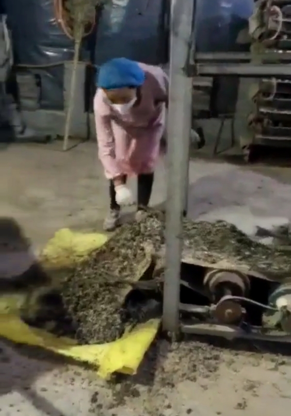 河南省焦作市颗粒有机肥鹌鹑粪，水泥地面晒干