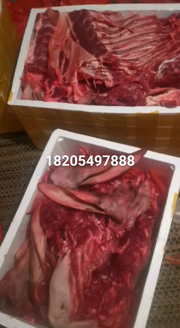 新鲜驴肉批发18205497888