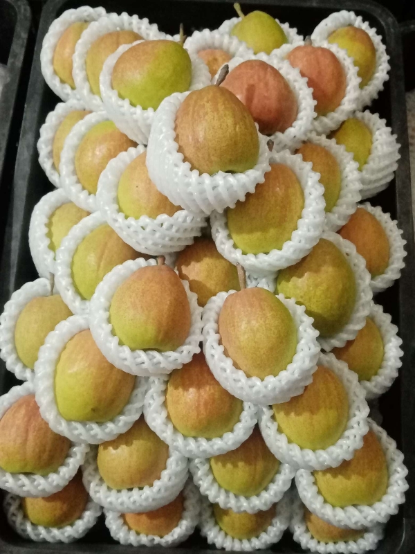 新疆特产库尔勒香梨、阿克苏冰糖心苹果