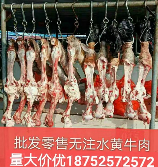 鲜牛肉 生牛肉 牛肉