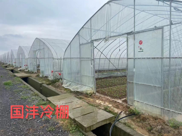 天津，种植棚原材料，草莓，蔬菜，菌菇