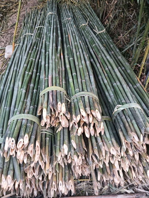 竹子，竹竿，产地直发货，微a19980336162