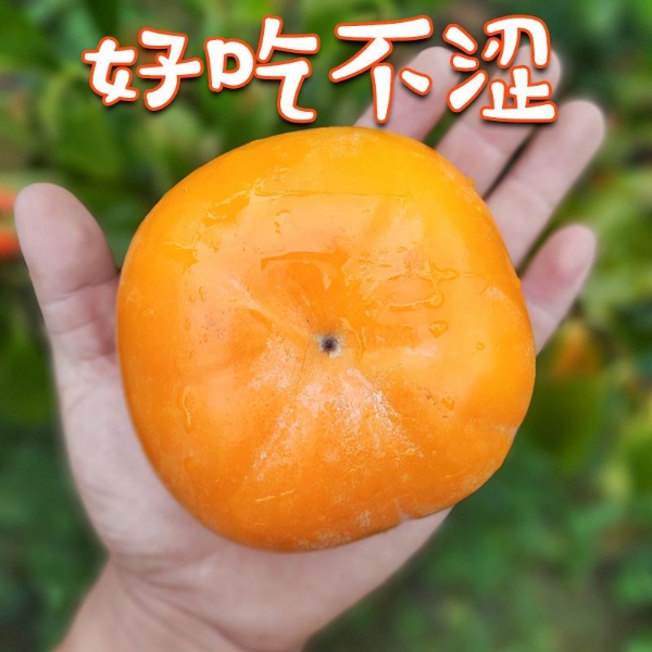 四川巧克力脆甜柿子，有需要直接联系，号码就是微信号