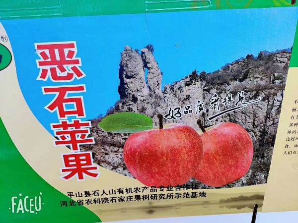 恶石苹果10月25日开始采摘，自家种植，阳面苹果