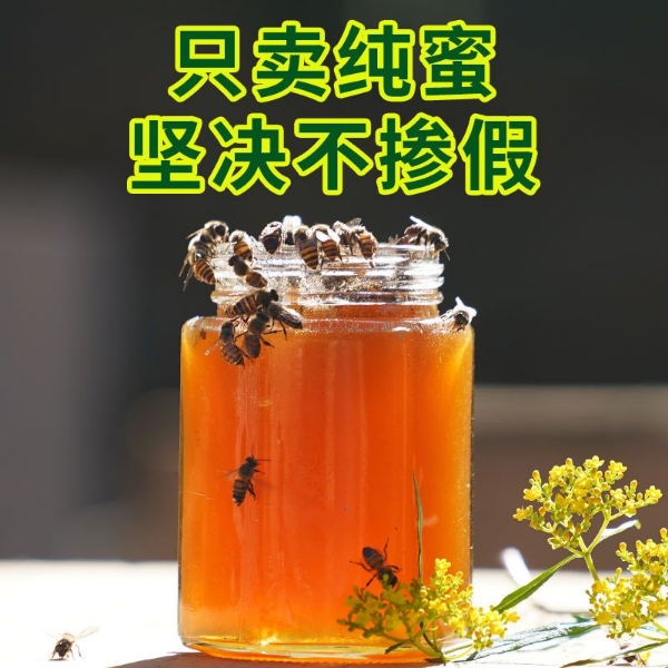 贵州深山土蜂蜜