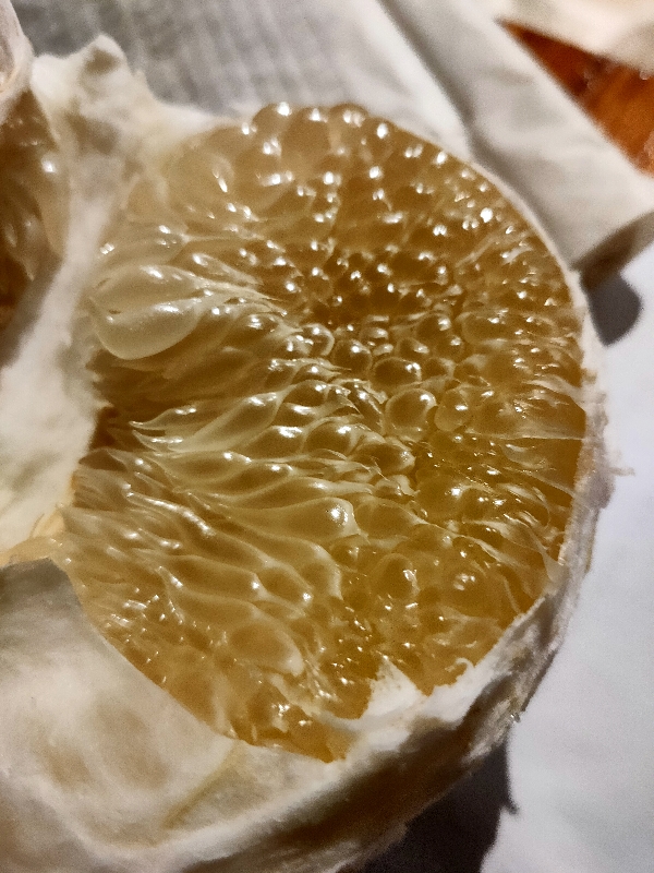 马来西亚水晶蜜柚