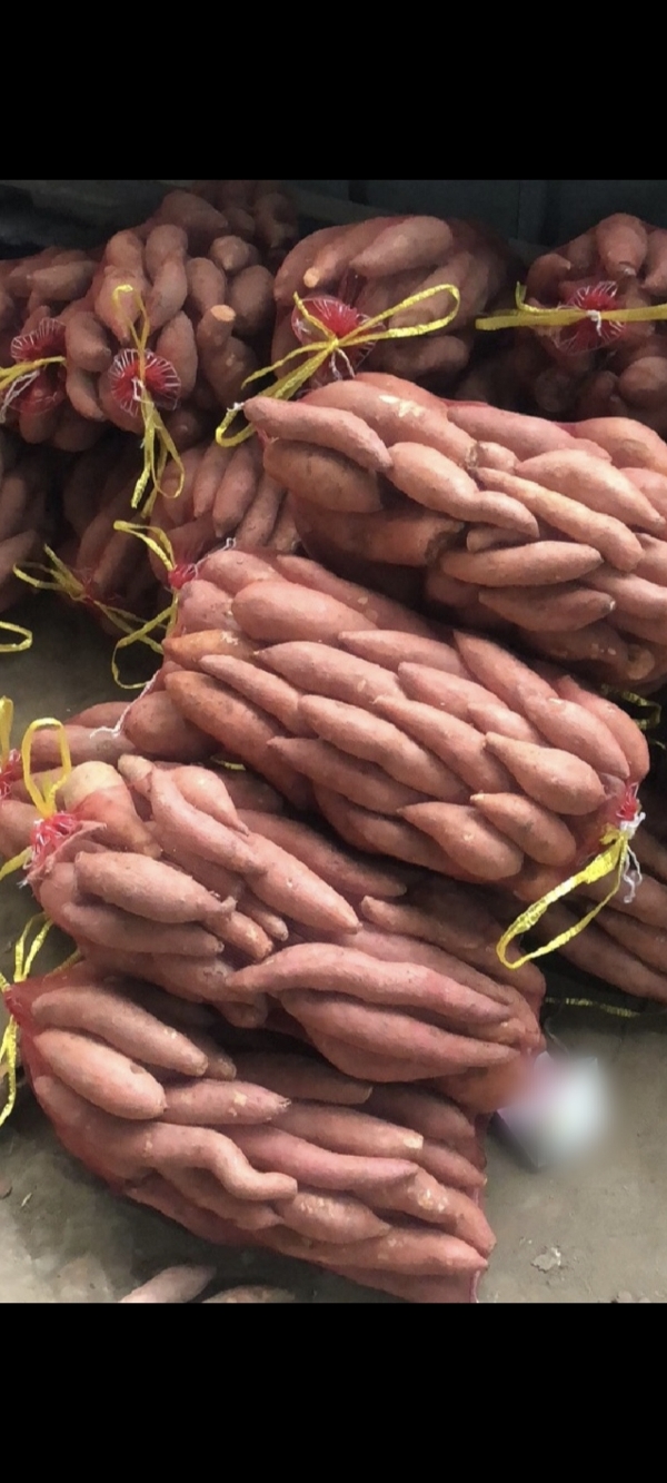 雄安各品种小红薯支持各大商超，电商平台，市场等