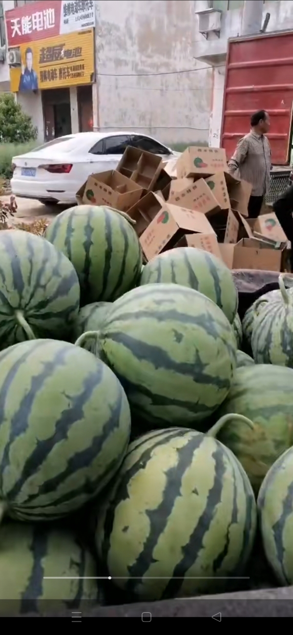 西瓜🍉