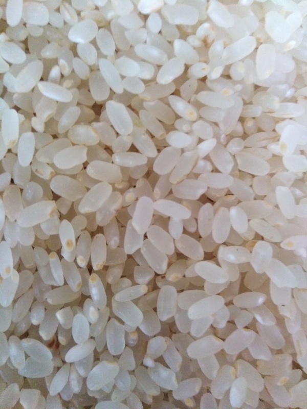 自家无公害种植，自己加工全营养鲜米