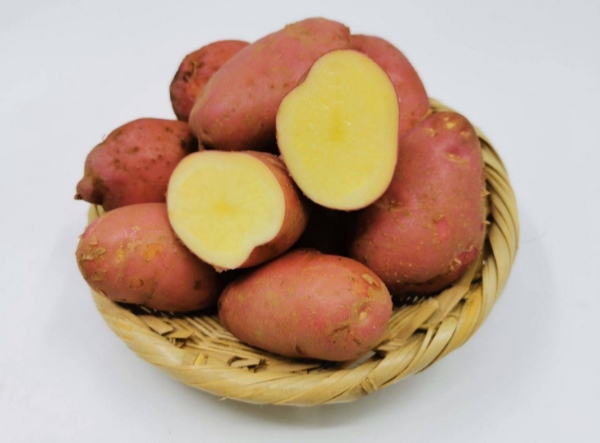 西北高原特产青九红皮土豆，紫皮土豆，