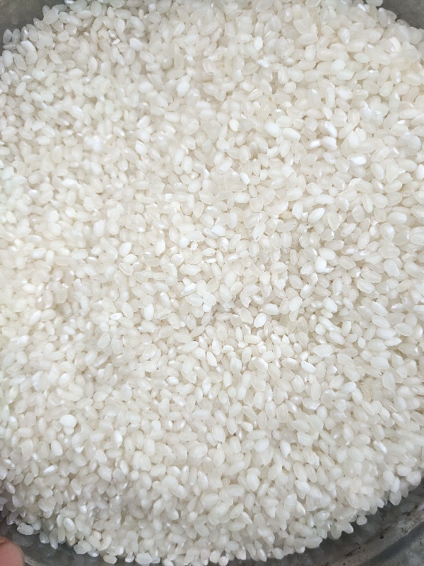江苏大米厂家直销专做各种大米,产地直发,日产千吨,粳米,南梗系列
