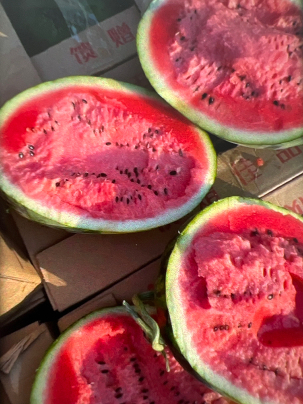 甜王西瓜🍉