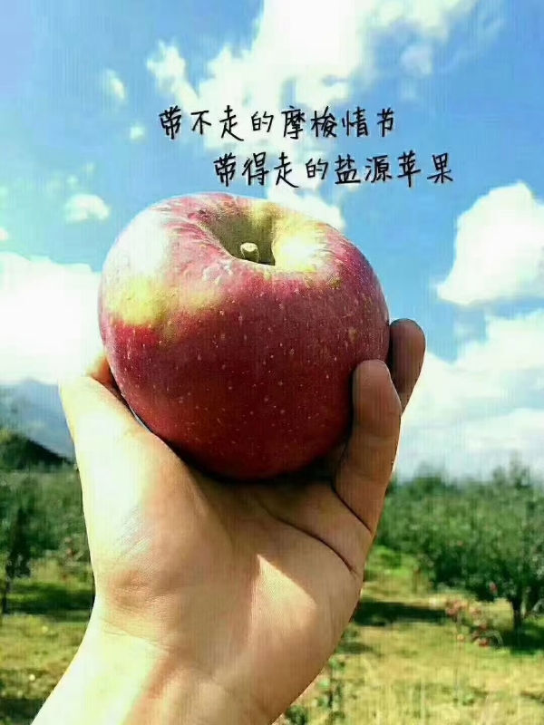 大凉山冰糖心丑苹果