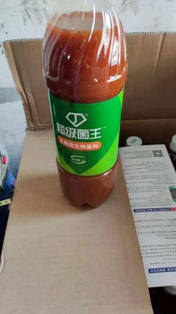 东荣超级菌王产地深圳一瓶一公斤